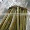 Frozen Sugarcane From VietNam QQ : 2598494113