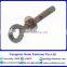 Galvanized Sleeve Anchor With Eye Bolt in the Good Quality