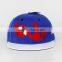 hawaii flat brim hat,hip hop flat brim snapback,hip hp flat brim hat/cap