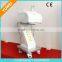 2000 Shots Portable Hifu Machine For Skin Nasolabial Folds Removal Tightening / Wrikle Removal / Lifting YWH-2S