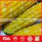 Frozen organic sweet corn from China