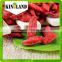 Health goji berry with best price and red color