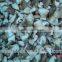 New crop mushrooms manufacturer Chinese iqf shiitake