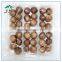 Natural China Black Garlic Price in Blister Package