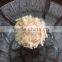 canned dog snack wet pet food OEM supplier