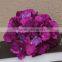 HT052 varities handmade hydrangea silk flower head wedding backdrop