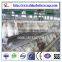 Xi-Broiler rearing feeding system