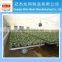 Greenhouse Hot Dip Galvanized Rolling Benches