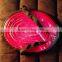 Horse train Polyester webbing polyester webbing for horse equestrian polyester webbing horse polyester webbing 1"*8M,Top quality