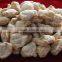 New Arrival Hot sale new design textured soya protein machine