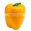Plastic Pepper Saver