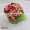 mix color hydrangea potted