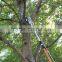 Aluminum Telescopic Pole Pruner with Saw for Tall Tree Pruning