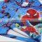 hot saling informal casual wear kids clothes 2014