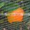 100% virgin new HDPE net for hail protection from factory
