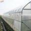Thin Film in greenhouse for agricultural