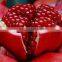 Healthy & Natural Pomegranate Seeds hike Exporters