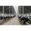China supplier prefabricated steel structure goat farm sheep animal farming design shed house