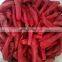 New Crop Jinta Beijinghong IQF Frozen  Red Chilli with Competitive Price