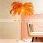 Modern Copper White Green Black Pink Blue Luxury Standing Feather Lamp Ostrich Feather Floor Lamp