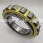 Cylindrical Roller Bearing RN219M single row Eccentric bearing for speed reducer bearing RN219