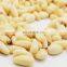 Byloo good quality wholesale pine nut kernel pinenuts for food good healthy from chinese to Thailand