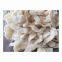 Polychloroprene Rubber Cr2441 2442 Chloroprene Rubber Cr244 1211 1212 Cr2321 2322 Neoprene