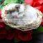 Cute Small Sleeping Plush Toy Cat with Long Fur