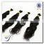 Top quality wholesale brazilian hair bulk 100% brazilian hair bulk hair
