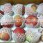 EPE foam net for packaging fruits and vegetables