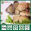 Mushroom Seeds for Sale,Organic Shiitake Mushroom,Mushroom Spawn for Sale