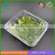 Clear plastic vegetable packaging box
