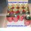 Canned Tomato Paste
