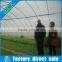Professional solar high tunnel hot galvanized steel green houses for agriculture
