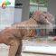 New animatronic dinosaur costume sexy halloween costumes