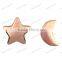 Rose Gold Moon and Star silver Stud Earrings