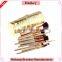 2016 Fashion Private label go pro makeup brushes 12 pcs set                        
                                                Quality Choice