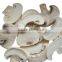 Supply Freeze Dried fruits - FD Mushroom slice with good quality