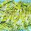 wasabi price