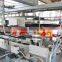 Intelligent Carton Packer with Hot Melt Glue Device LZB452