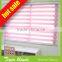 blue zebra blinds