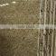 Best selling yellow granite Giallo Ornamental Slabs