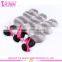Factory price brazilian sliver grey ombre human hair extensions body wave two tone grey human hair weaving