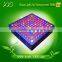 Agricultural intelligence plant factory use led grow lights 300w honeycomb help lettuces growing best