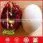 Red date dried fruit dried food jujube red date in competitive price