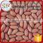 Import peanut kernel processing plant