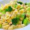 High quality Shell Pasta, Macaroni, Shells 250g Bag, Mediterranean Shells with FDA Certification.