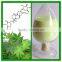 GMP Certified Factory Supply High Quality Sweet Tea Leaves Extract