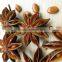 Star aniseeds from Vietnam, reddish brown colour - High quality & good price