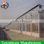 Desert and semi-arid greenhouse for tomato lettuce strawberry